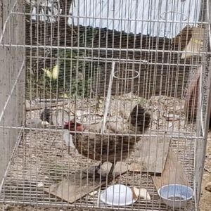 Meet your Posher, Alejandra